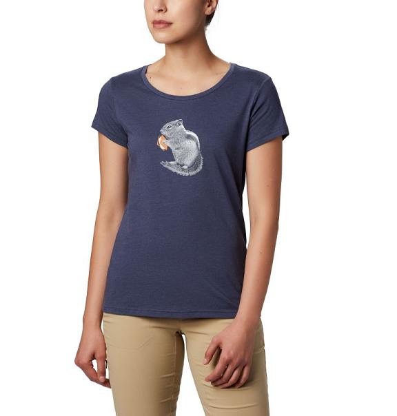 Columbia Hidden Lake T-Shirt Women Blue USA (US509855)